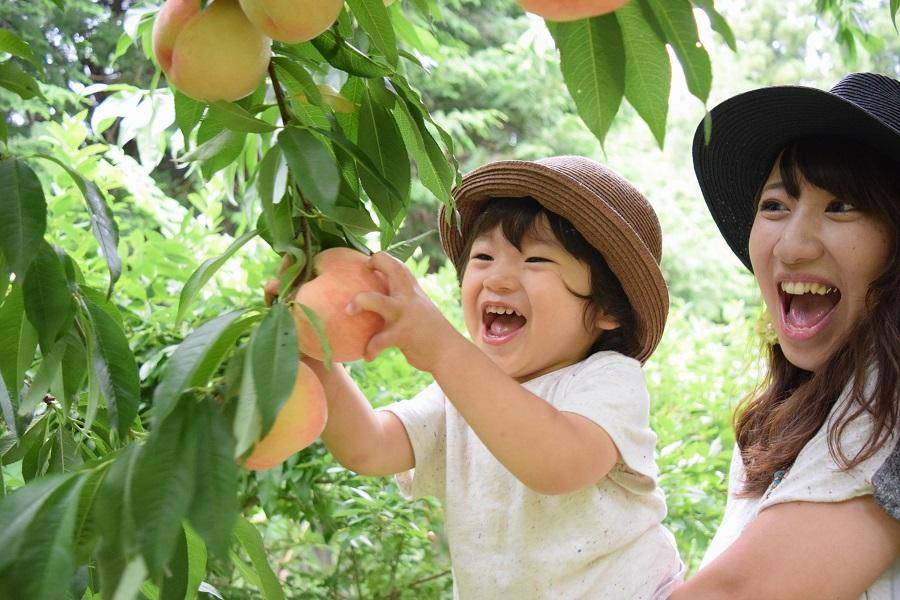 
                                                                        【夏意初心】和歌山水蜜桃吃到飽京都天橋立伊根灣勝尾寺大阪散策5日
                                                                        