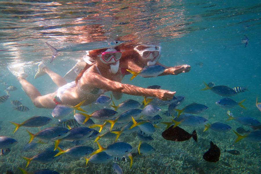 
                                                                                                        【超值帛琉】二次出海、無毒水母湖、鯊魚共遊、牛奶湖SPA、網美透明SUP六日遊∕週三出發
                                                                                                        