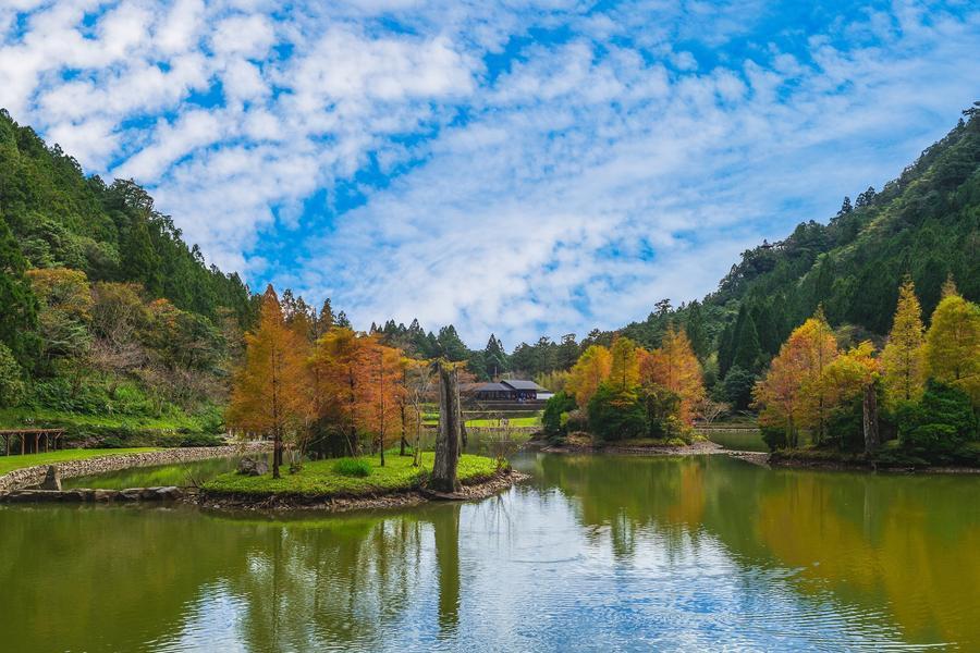 
                                                                                                        【秋染北橫落羽松】棲蘭森林、百年檜木紀念林、秋採果、夜宿明池山莊二日
                                                                                                        