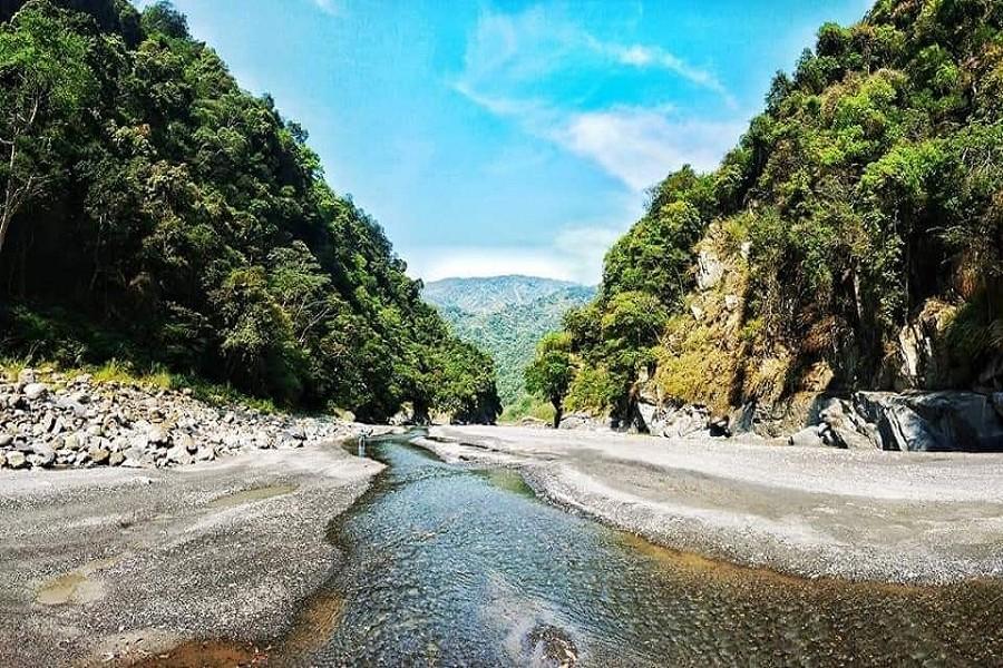 武界秘境 茶園迎日出 高山望雲海 埔里採菇趣 車埕二日遊 國內旅遊 東南旅遊