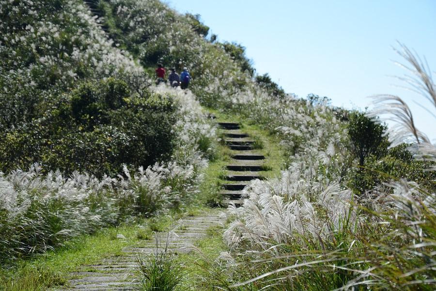 桃北宜】草嶺古道風芒依舊、龍潭大池、石門水庫遊船、薑母島、|旅遊