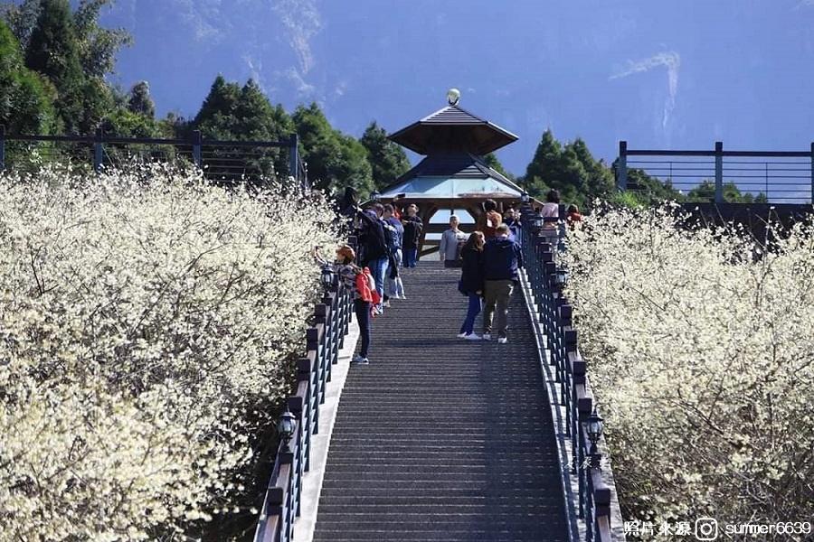 
                                                                                                        【微旅行-到府接送】寒溪呢森林人文叡地、五元二角綠廊道１日
                                                                                                        