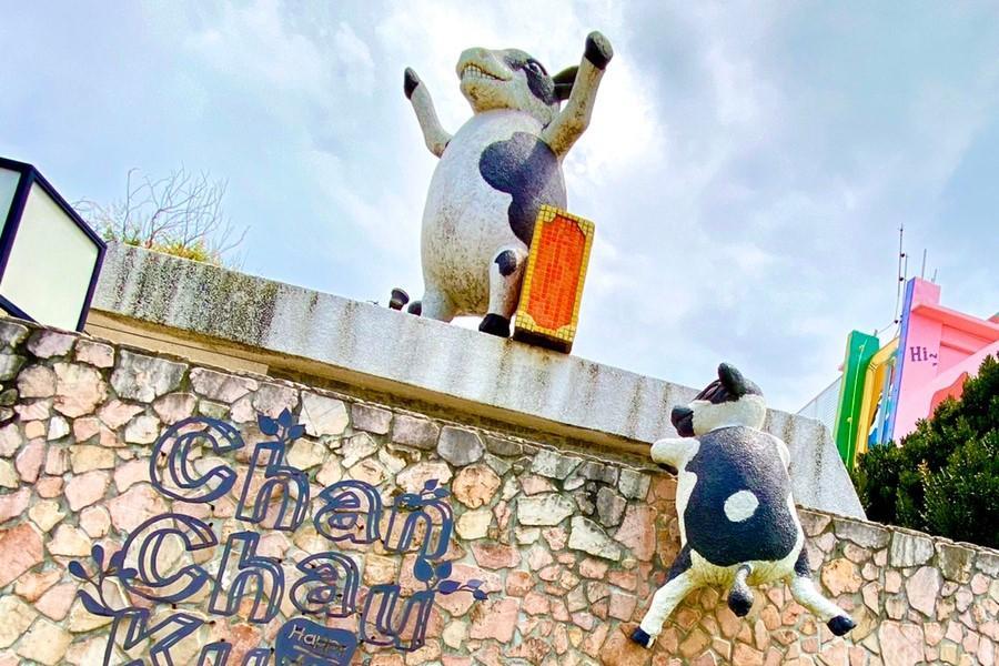 
                                                                                                            【媽祖平安護照集章】雲見幸福千巧谷、蘿莎玫瑰、尋幽訪古1日遊
                                                                                                            
