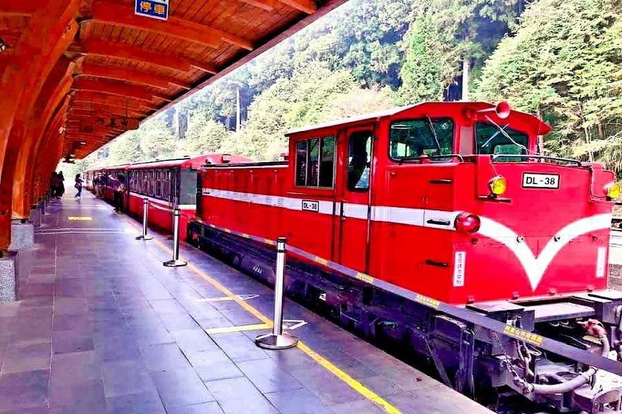 台中出發 慢遊阿里山 花現嘉義兩日 國內旅遊 東南旅遊