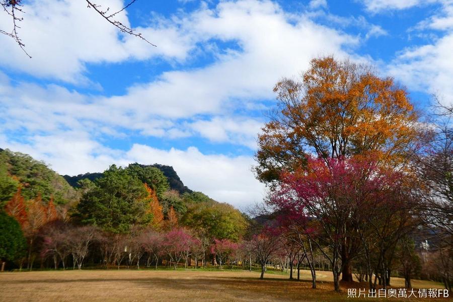 【登百岳合歡主峰】賞高山杜鵑、泡麵土地公、中台博物館、清境天空步道二日