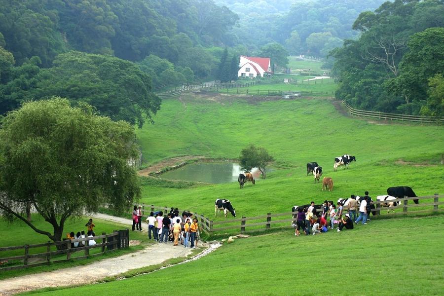 
                                                                                                        【綠色旅遊】竹苗好望角、台灣客家文化館、新豐紅樹林、飛牛牧場 2日遊
                                                                                                        