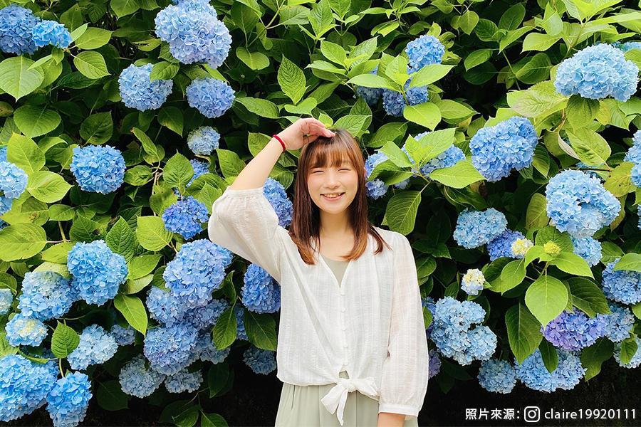 森林花賞 杉林溪繡球花海 鼠尾草田 天然氧吧森の旅一日遊 旅遊行程搜尋推薦 東南旅遊