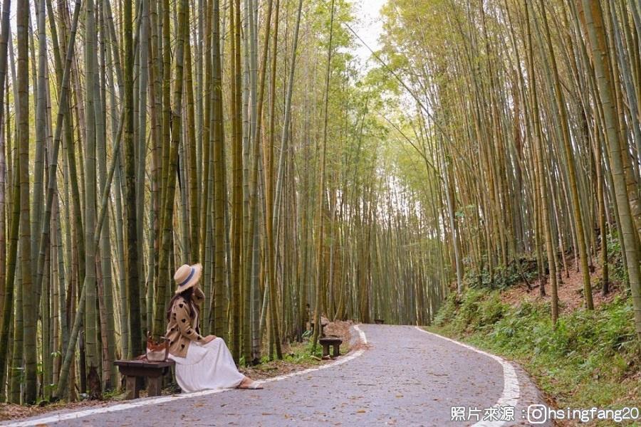 
                                                                                                        【迷你團】瑞里綠色隧道～台版的嵐山竹林步道，浪漫滿分一日遊
                                                                                                        