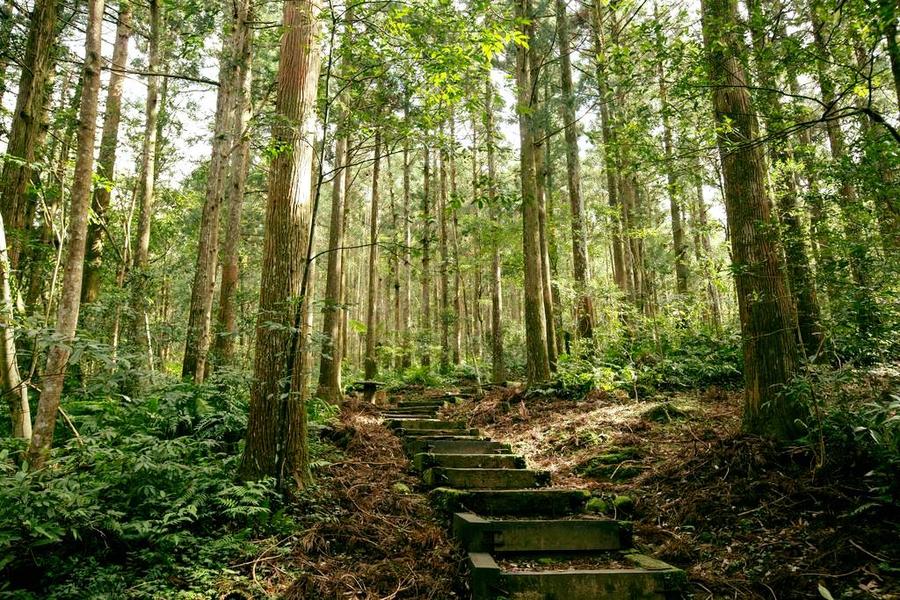 
                                                                                                        【期待出國】一秒飛京都VS沙漠․東眼山森林浴․捕魚嚐鮮趣․五星老爺二日
                                                                                                        