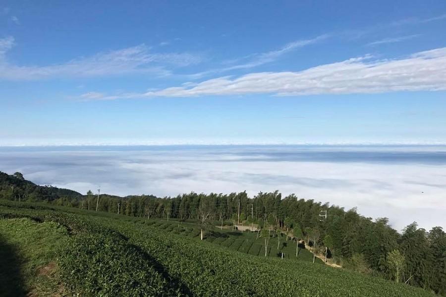 
                                                                                                        【嵐山竹林秘境】雲嶺之丘、新中橫塔塔加、葡萄採果趣、東埔沙里仙溫泉三日
                                                                                                        