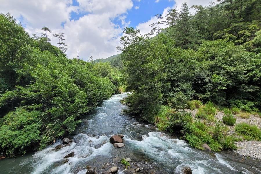 
                                                                                                        楓芒萬丈新中橫、塔塔加玉山群峰麟趾山、歐風書牆城堡、萄醉東埔溫泉三日
                                                                                                        