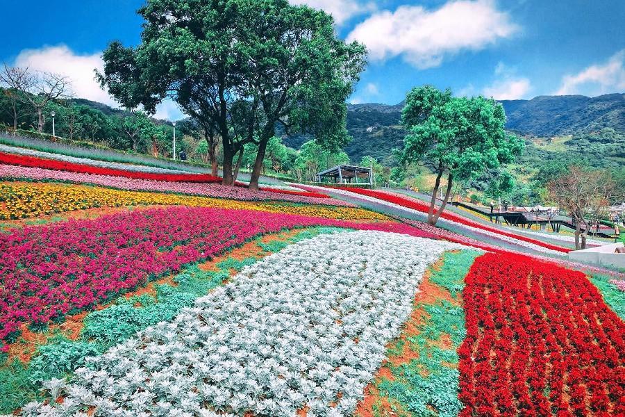 
                                                                                                        【十分好玩】雙溪野薑花粽、暖東峽谷、三貂嶺生態隧道一日遊
                                                                                                        