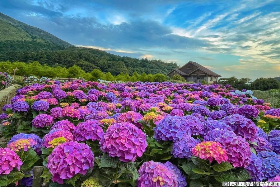 
                                                                                                        【花團錦簇】竹子湖賞花、美軍宿舍群、烏來瀑布台車、英迪格二日遊
                                                                                                        