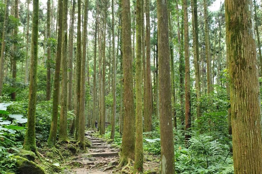 
                                                                                                        【夏日桃竹】馬武督森林浴、橫山書法館、內灣老街、好望角海景步道二日遊
                                                                                                        