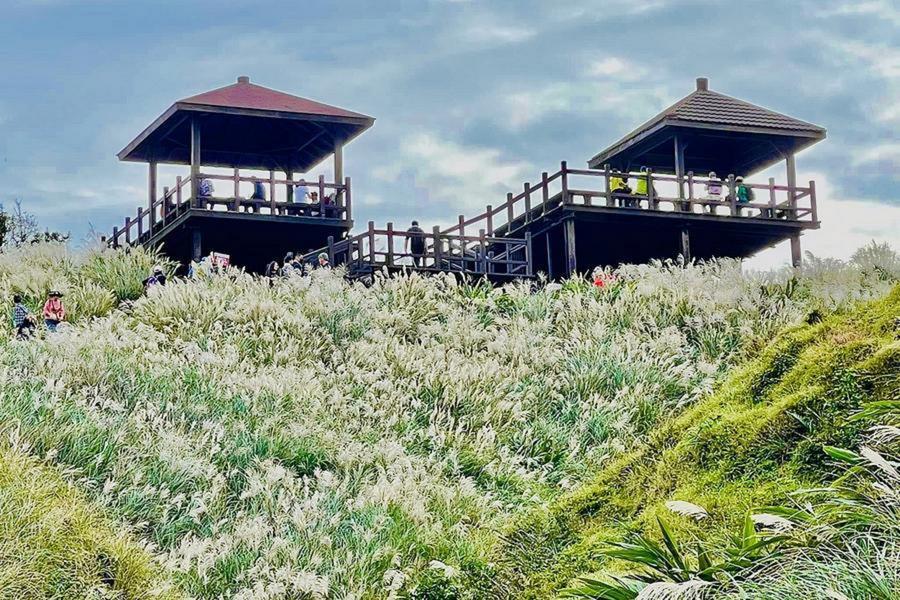 
                                                                                                        【銀白花海賞秋芒】芒花迎風古道、虎字碑、大溪漁夫市集、湯圍風呂一日遊
                                                                                                        