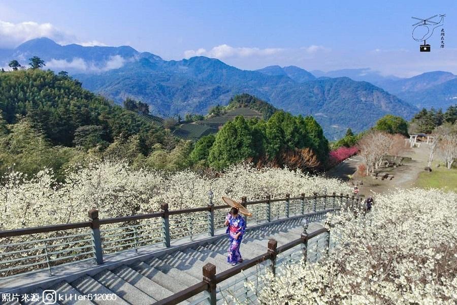 
                                                                                                        【春季賞櫻】寒溪呢人文叡地櫻花大道、鰲鼓濕地、魚寮浪漫落羽松二日遊
                                                                                                        