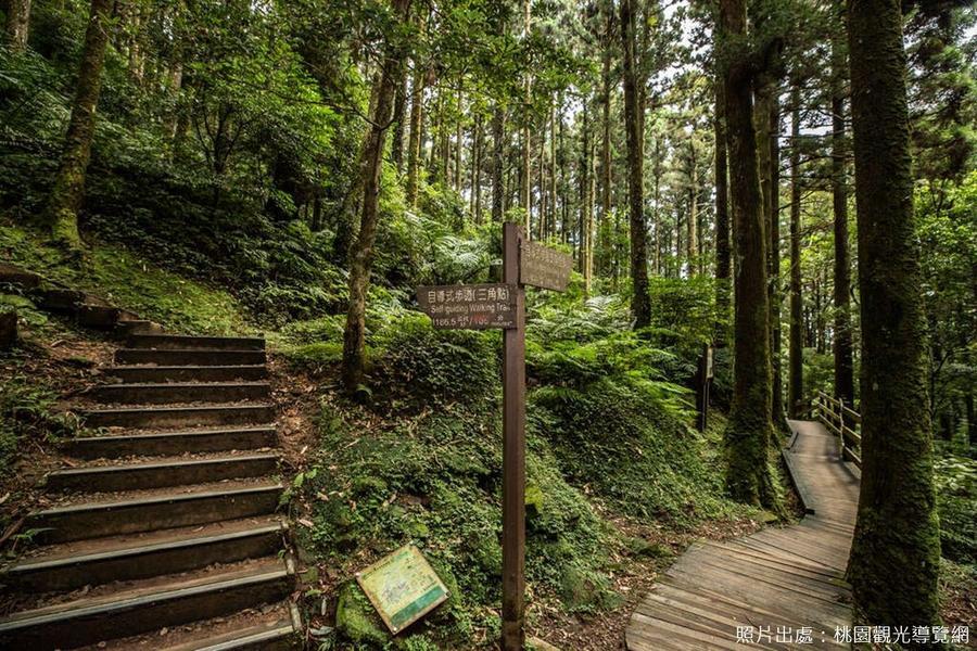 
                                                                                                        【桃園春曉】登高東眼山、石門水庫遊船、薑母島、林口喜來登二日遊
                                                                                                        