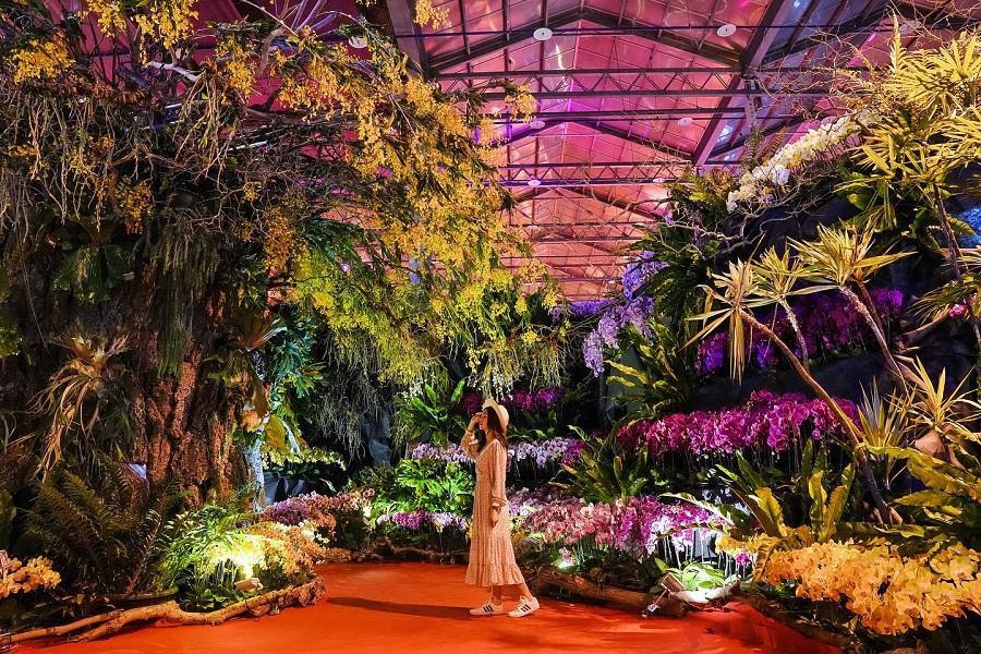 
                                                                                                        圓夢環島巴士～見晴太平山、花東山海、雙流瀑布、尋訪一府二鹿、台灣六日
                                                                                                        