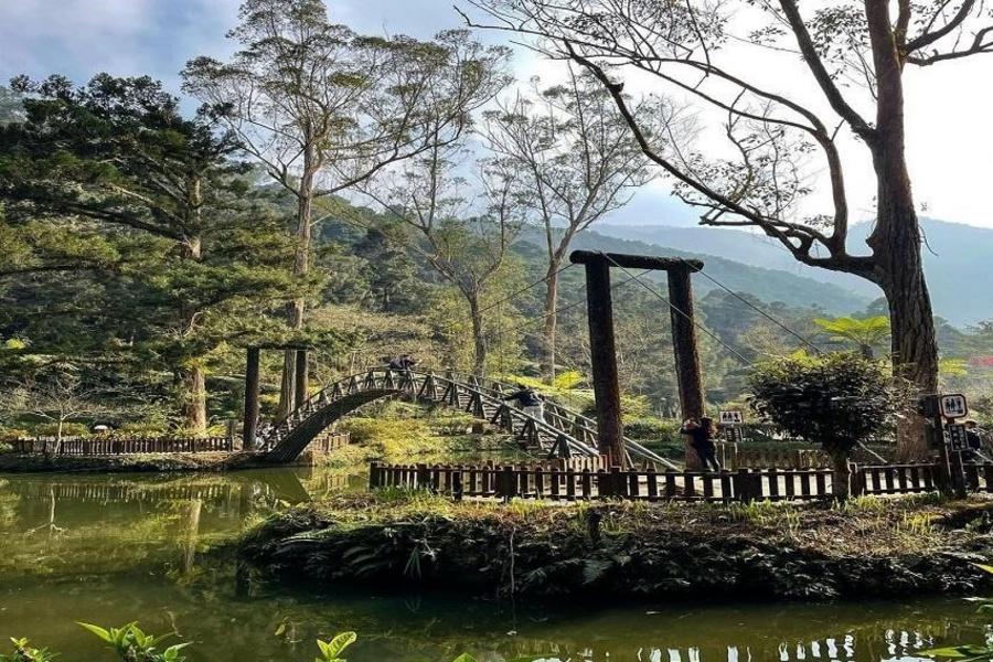 
                                                                                                        漫步溪頭森林、湖山水庫、兔子神社、百年醬香、採果體驗二日
                                                                                                        