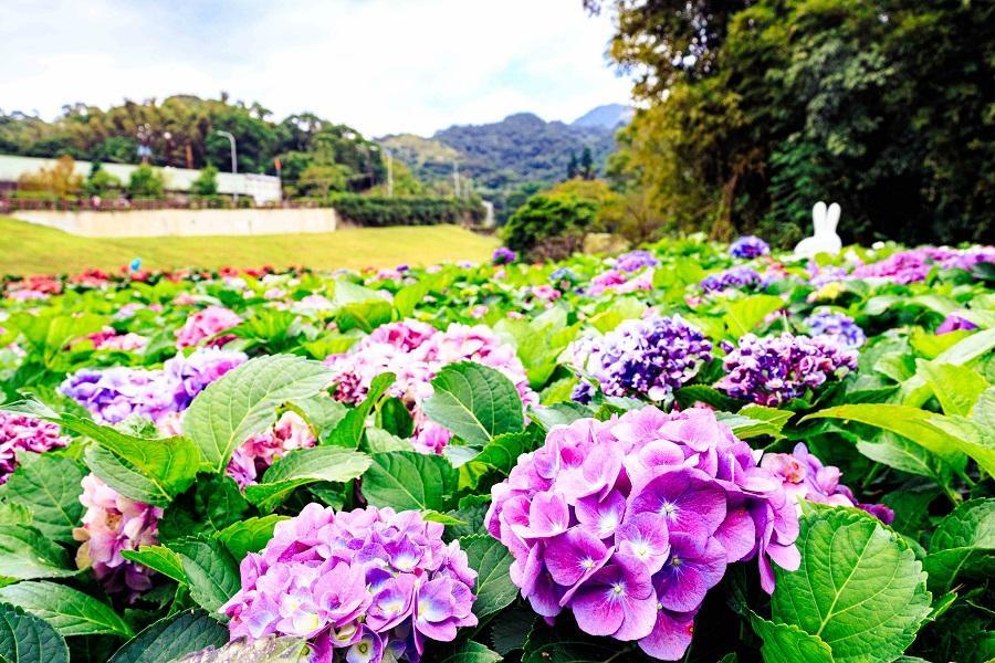 
                                                                                                        【銀髮補助】大溝溪賞萬盆繡球花、中正紀念堂粉嫰大漁櫻、南門市場採買二天
                                                                                                        