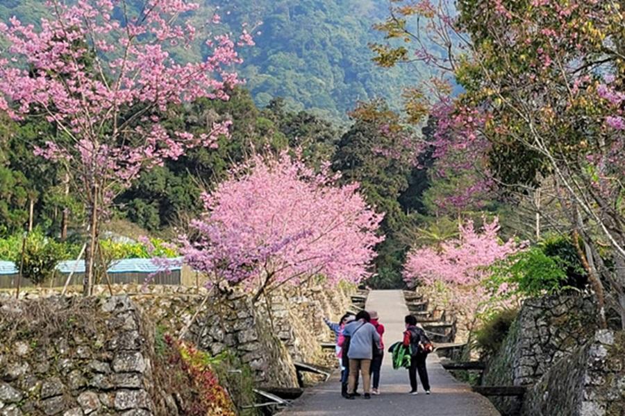 
                                                                                                        【饗樂活齡光】飛龍美瀑奇景、溪頭三月櫻花雨、福華渡假飯店自助晚餐二日遊
                                                                                                        