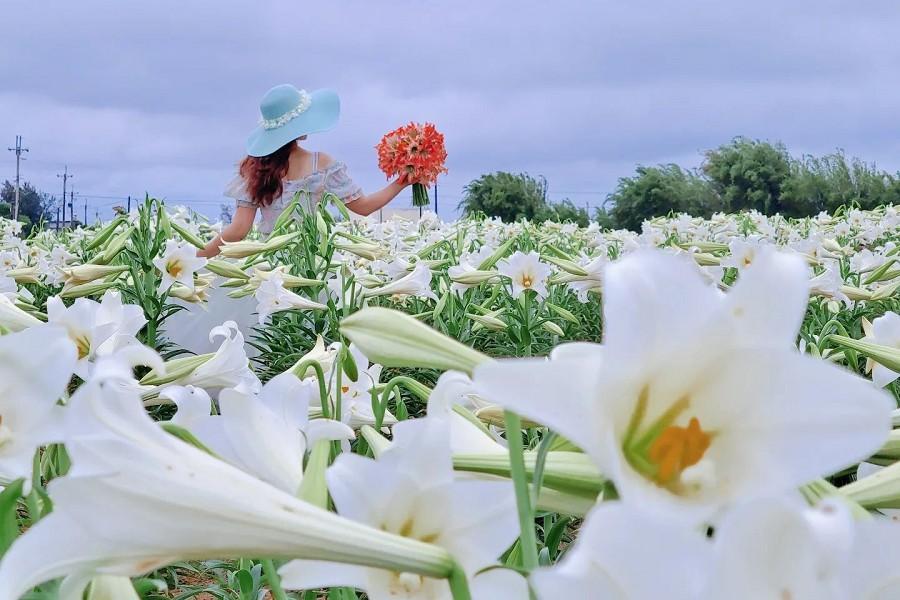 
                                                                                                        【買一送一】鐵炮百合花海、白千層綠韻隧道、中庄吊橋、滇緬美食一日遊
                                                                                                        