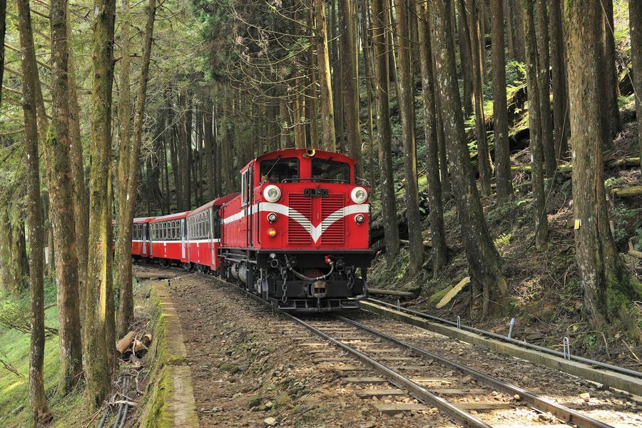 
                                                                                                        【阿里山真消暑】森林遊樂區翠綠山林健康步道、高山氧生芬多精吸到飽一日遊
                                                                                                        