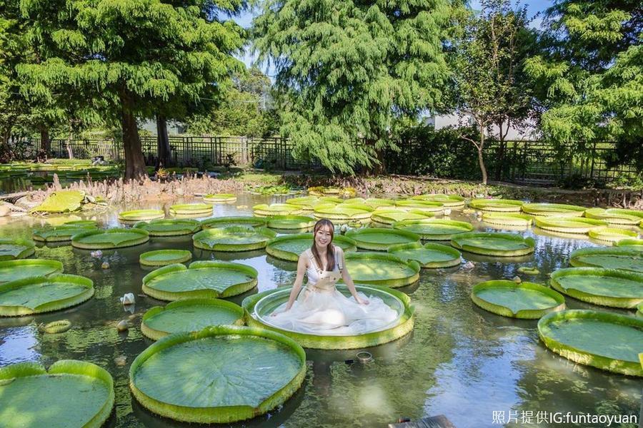 
                                                                                                        【夏荷盛開】蓮園荷花香、小烏來天空步道、蓮座山觀音寺、桃園和逸飯店二日
                                                                                                        