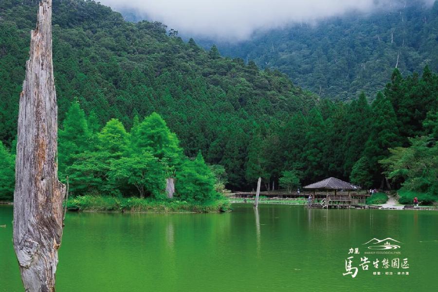 
                                                                                                        【楓花水月】北橫華麗楓紅秋裝豔、明池森林遊樂區、石門水庫楓林步道三日遊
                                                                                                        