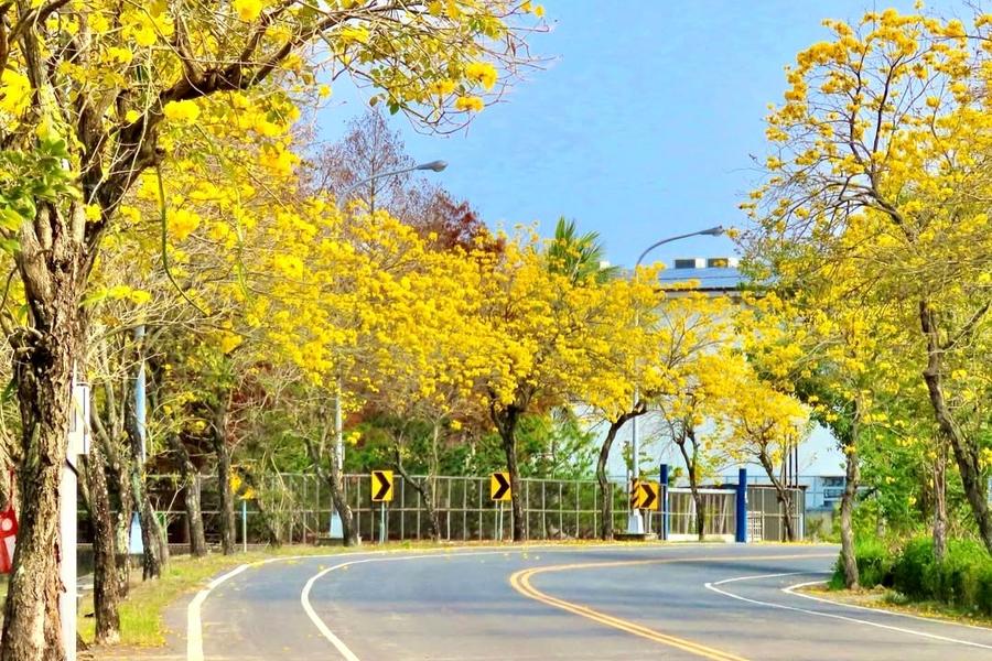 
                                                                                                        黃金風鈴木雙景、蜀葵花季、泡麵土地公、歡採芭樂、鯉魚潭水庫觀鋸齒堰二日
                                                                                                        