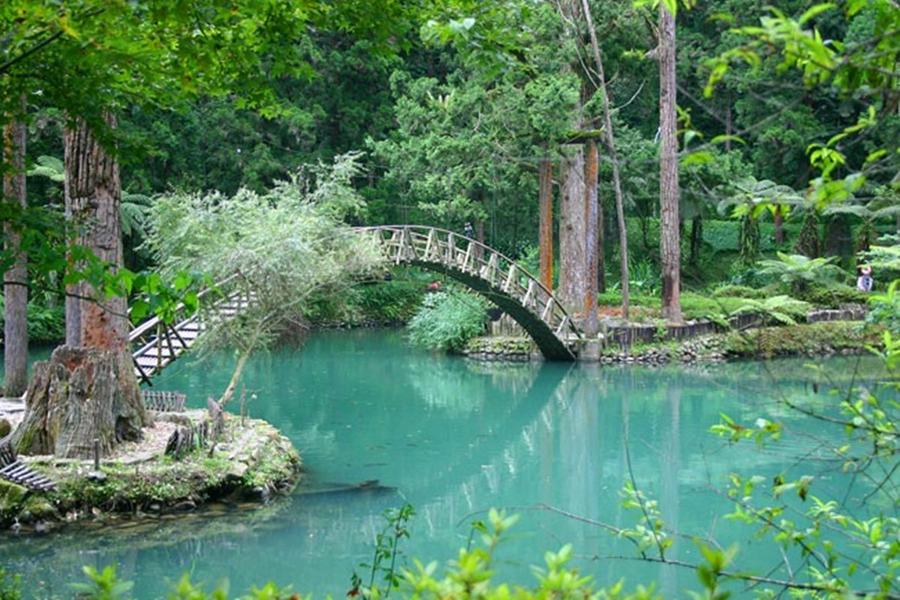 
                                                                                                        【台中出發】大崙山銀杏森林、溪頭妖怪村、愛上杉林溪歐風城堡米堤二日
                                                                                                        