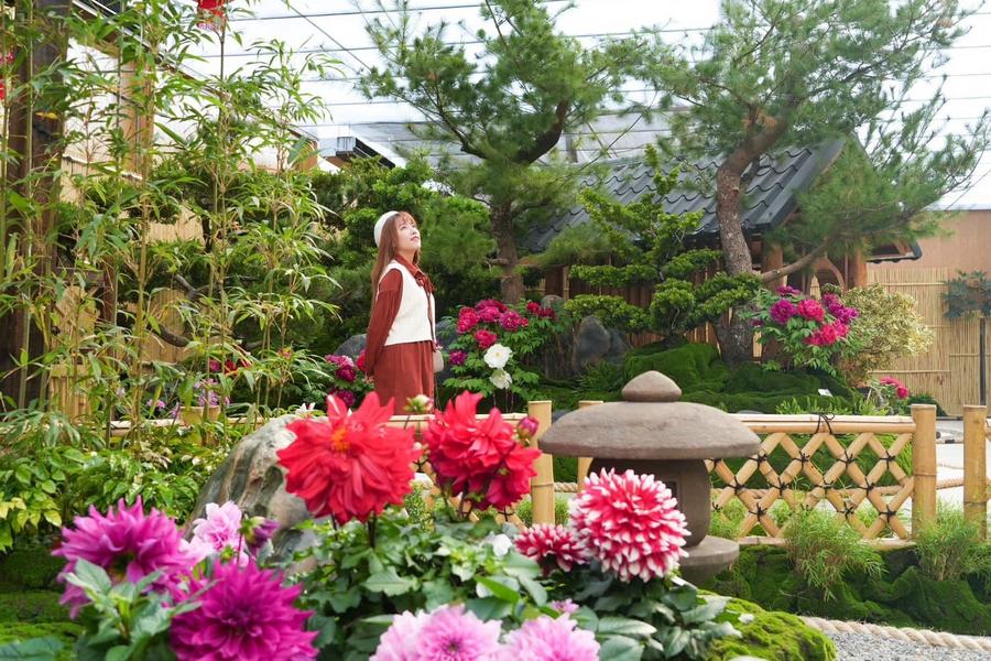 
                                                                        期間限定！花露農場絢麗牡丹花毯、子母隧道望海景大風車、勝興客庄一日
                                                                        