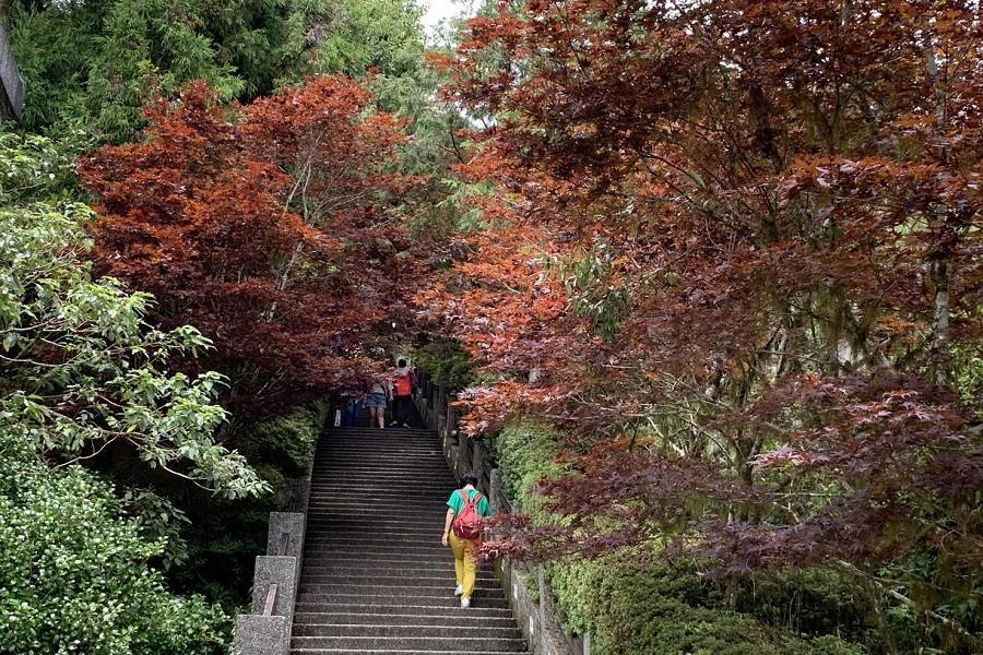 
                                                                                                        【夏賞紫葉槭】太平山見情懷古、三貂角燈塔、馬崗漁村、葛瑪蘭之星三日遊
                                                                                                        