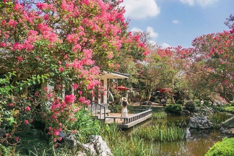 紫薇花禪風庭園、花壇田園採茉莉、鮮採香菇、客家文化中彰二日