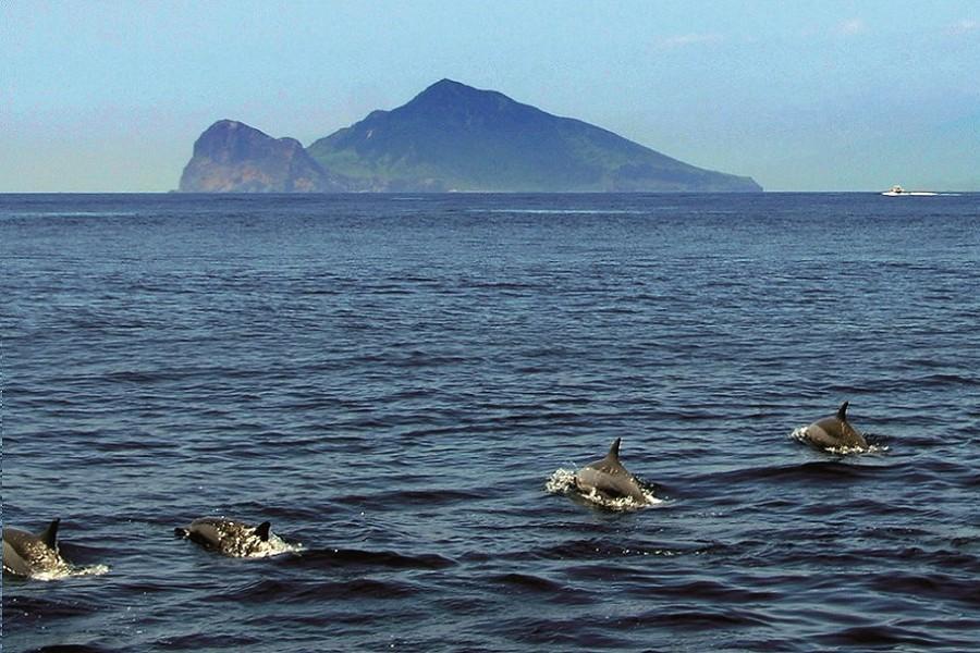 
                                                                                                        【鯨彩假期】龍潭湖畔溜滑梯、龜山島賞鯨、礁溪葛瑪蘭之星X理想大地三日
                                                                                                        