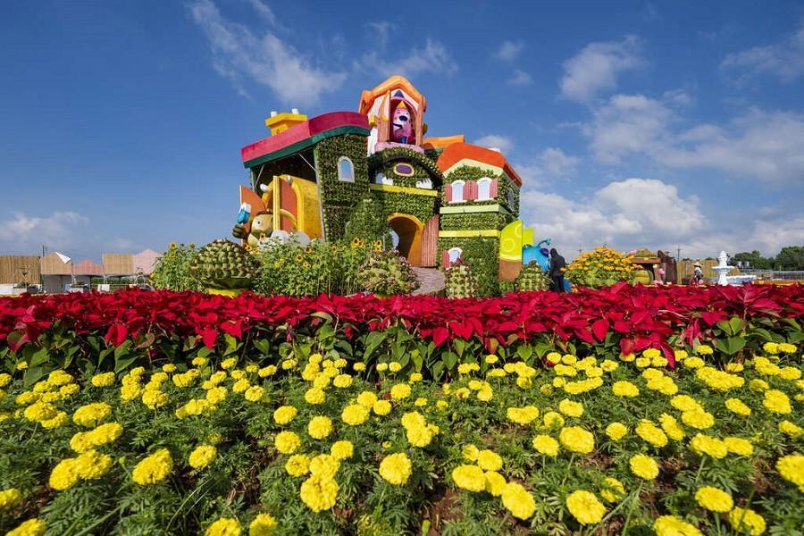 2025臺中國際花毯節新社花海、苗栗八景之首墨硯山一日