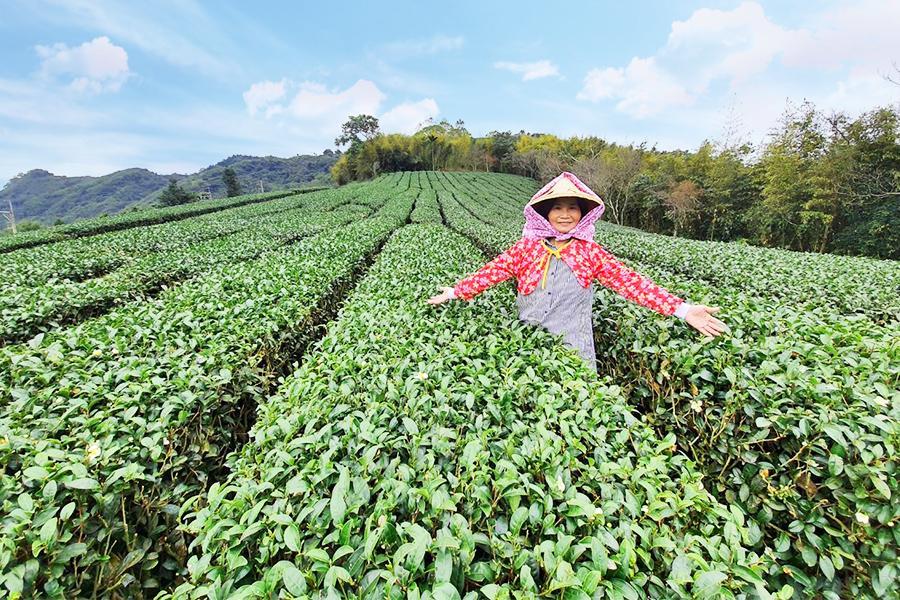 
                                                                                                        【上山下海過一夜】茶園茶農體驗、海上觀光船、奮起湖老街、樂億皇家 二日
                                                                                                        