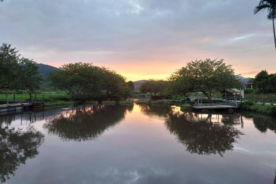 
                                                                        【愛在春暖花開時】羊角村農村樂～活盆地～割稻飯、楓樺台一渡假村 二日
                                                                        