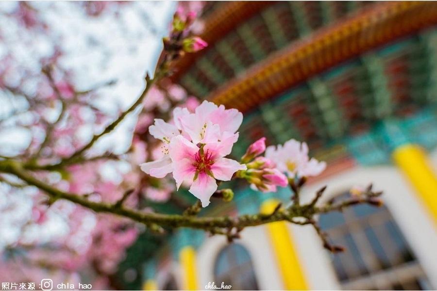 
                                                                        【雙喜臨門迎金馬】保住雙喜來登、迎富送窮廟迎財納福、天元宮賞櫻 三日
                                                                        