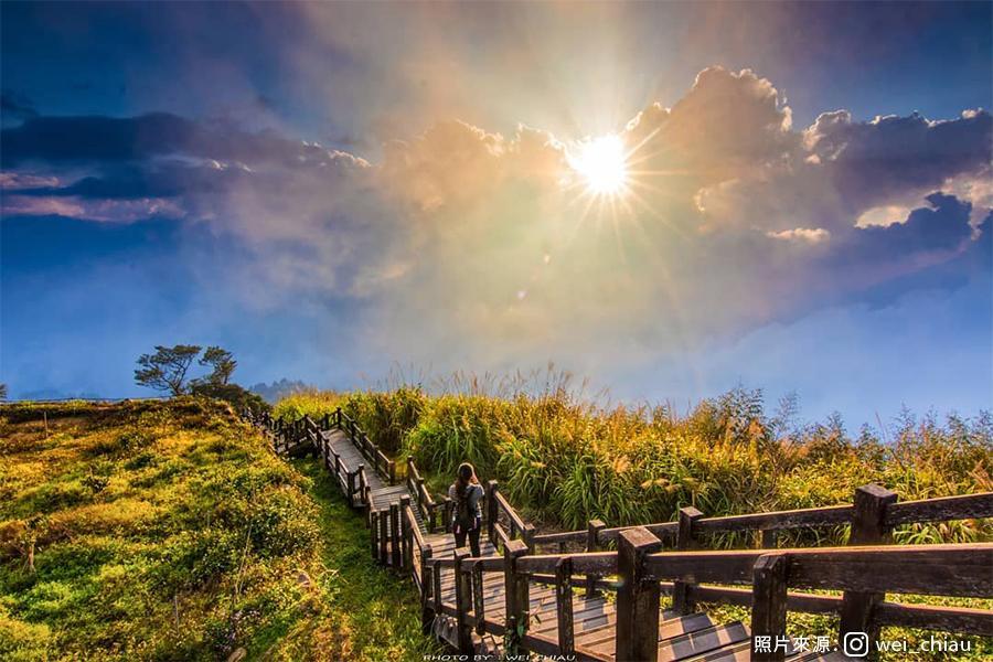 
                                                                        【最美茶之道】阿里山最美茶道～隙頂二延平觀景台、奮起湖老街 一日
                                                                        