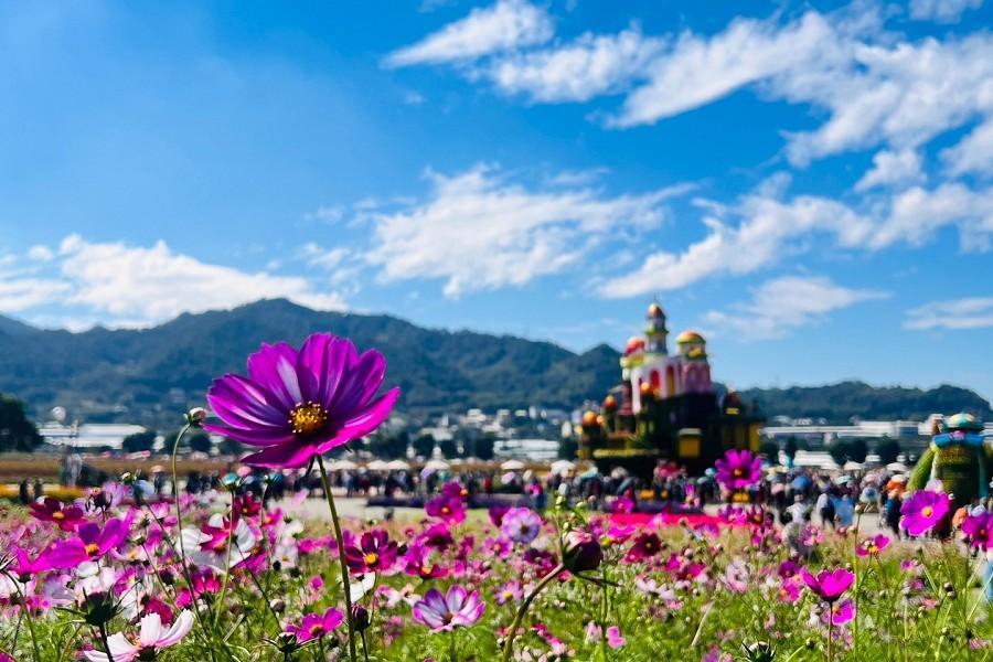 【花毯節賞花海】年度盛事～台中國際花毯節、廟東美食商圈、丸文工廠一日