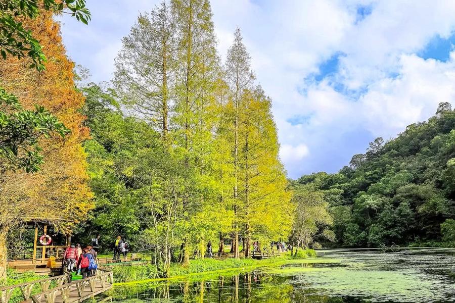 福山植物博物館、夢幻湖泊落雨松、丟丟噹星空列車、礁溪葛瑪蘭溫泉暖湯二日