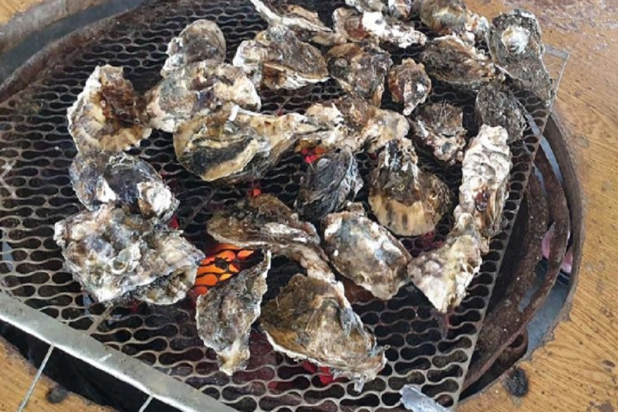 
                                                                                                        高雄/台南出發【七股遊潟湖】七股潟湖遊船生態之旅～烤蚵吃到飽、安平老街 一日
                                                                                                        