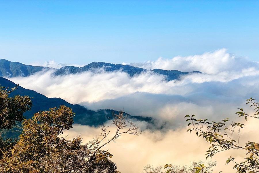 
                                                                        【獨旅聖稜星光】入住雪霸農場、雪霸國家公園、大鹿林道、觀霧一泊五食二日
                                                                        