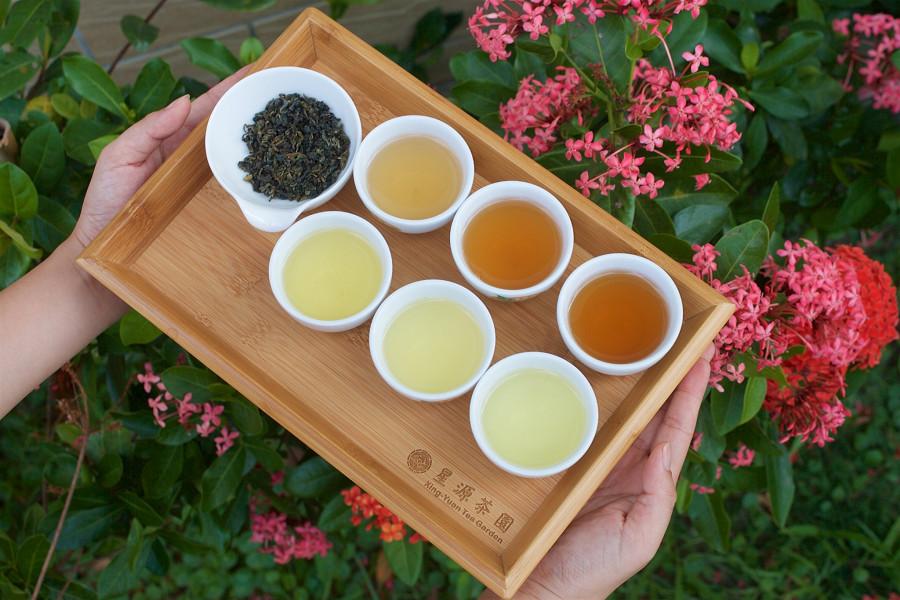 
                                                                        宜蘭仁山植物園歐日主題庭園、星源茶園找茶趣、礁溪捷絲旅X花蓮理想三日
                                                                        