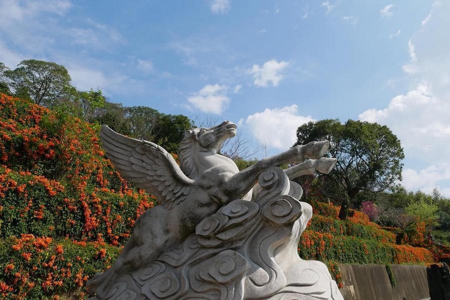 
                                                                        【駿馬迎春】炮仗花秘境、百年古蹟蓮華寺、新竹公園麗池畔賞櫻一日
                                                                        