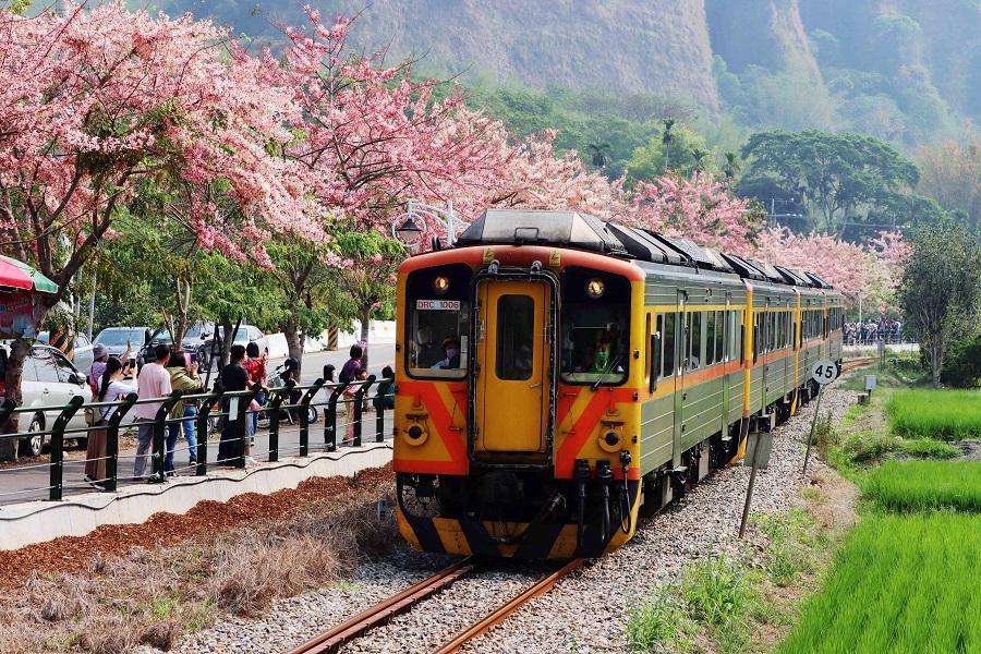 
                                                                                                        二水鐵道花旗木、粉紅八堡圳、蜀葵花海、大路畔懷舊柑仔店、林內賞蝶二日遊
                                                                                                        