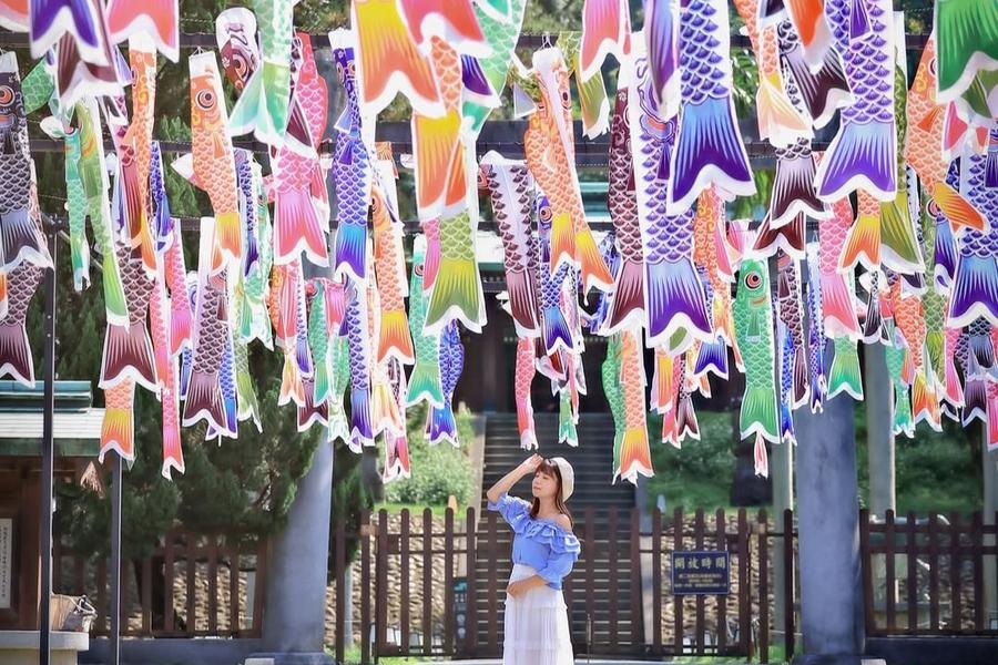 
                                                                        【黃金花毯】百吉金針花海、鯉魚流光神社祭、八塊厝藝術村一日遊
                                                                        