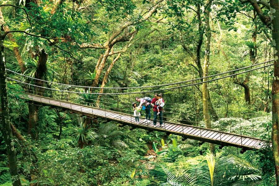 
                                                                        【夏日綠境＆森湯漫遊2日】大板根溫泉森林浴、鶯歌陶博尋美、三峽老街
                                                                        
