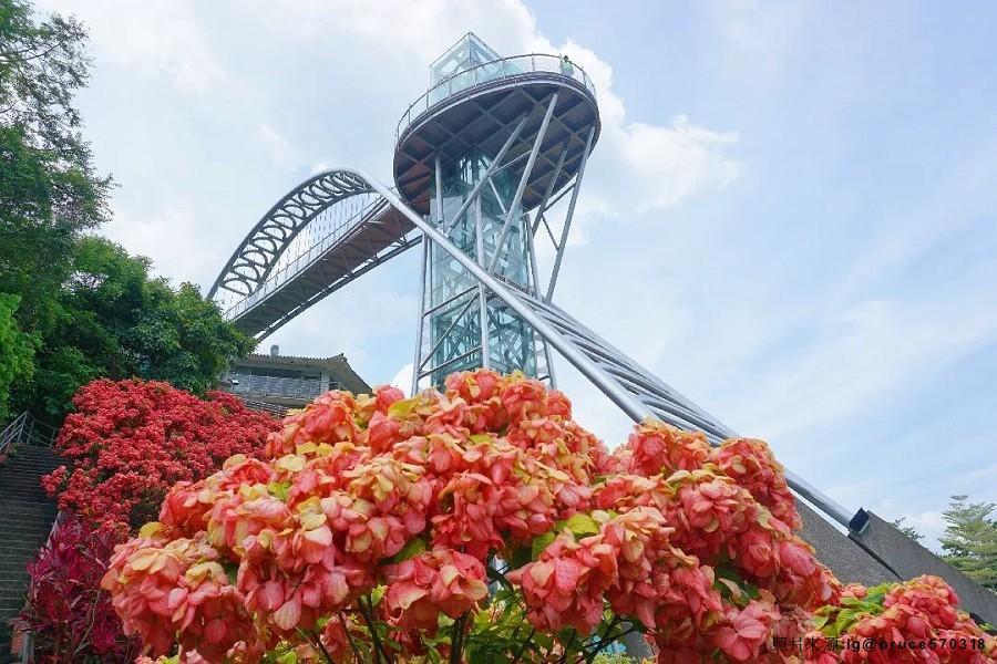 
                                                                                                        曾文水庫船遊、梅仔雞餐、玄空法寺、美術館、台南煙波飯店自助美饌二日遊
                                                                                                        